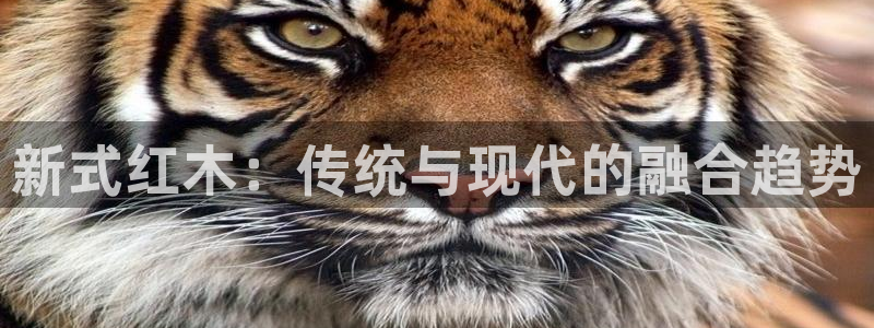 先锋互动娱乐