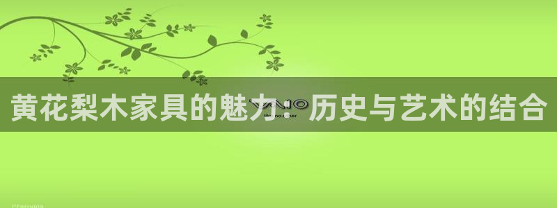 先锋娱乐简介图片