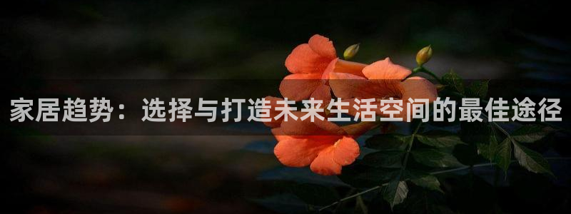 先锋娱乐简介图片