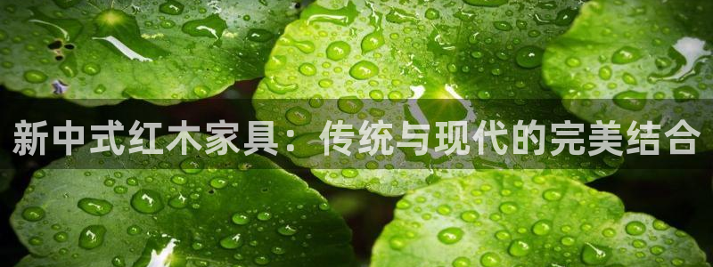 亚洲先锋娱乐招股