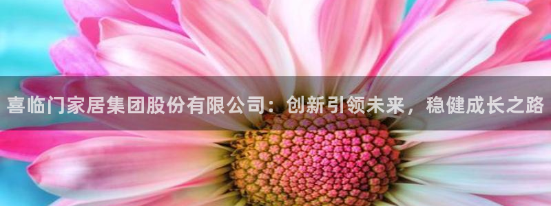 先锋娱乐官