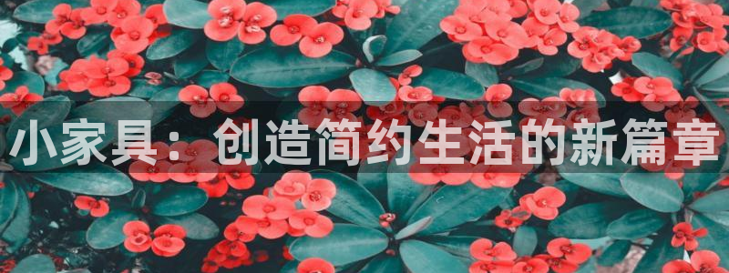 先锋娱乐简介图片