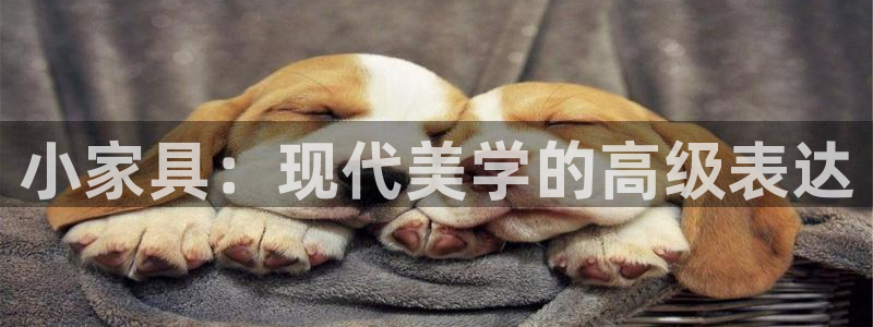 先锋综合娱乐