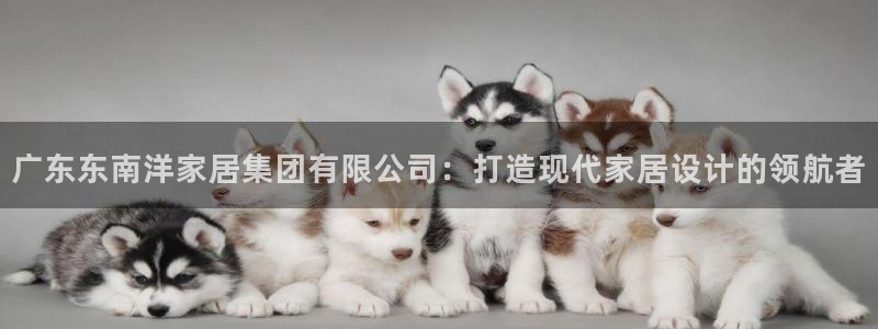 先锋娱乐管理集团怎么样