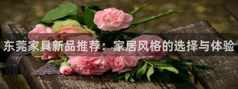 先锋娱乐官网：东莞家具新品推荐：家居风格的选择与体验