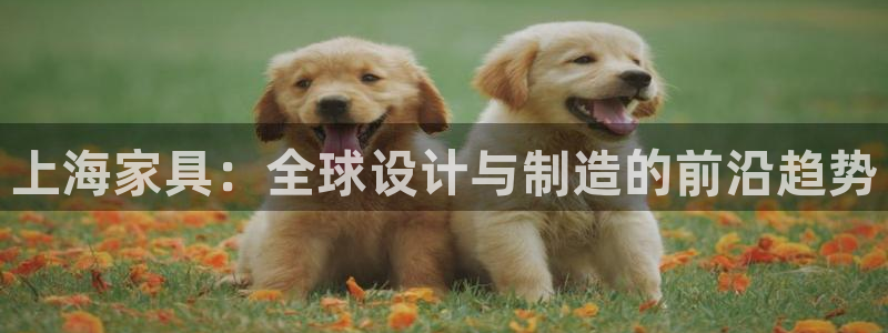 先锋娱乐网