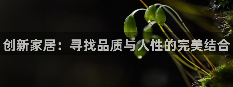 先锋娱乐软件