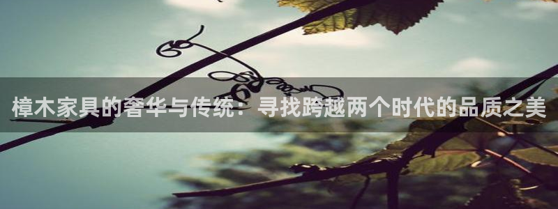 先锋支付娱乐城