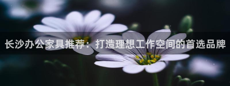 先锋娱乐挂