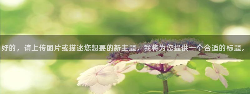 先锋游戏娱乐