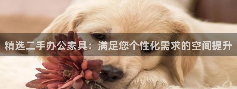 先锋方舟娱乐集团