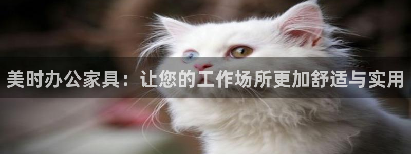 先锋娱乐账号：美时办公家具：让您的工作场所更加舒适与实用